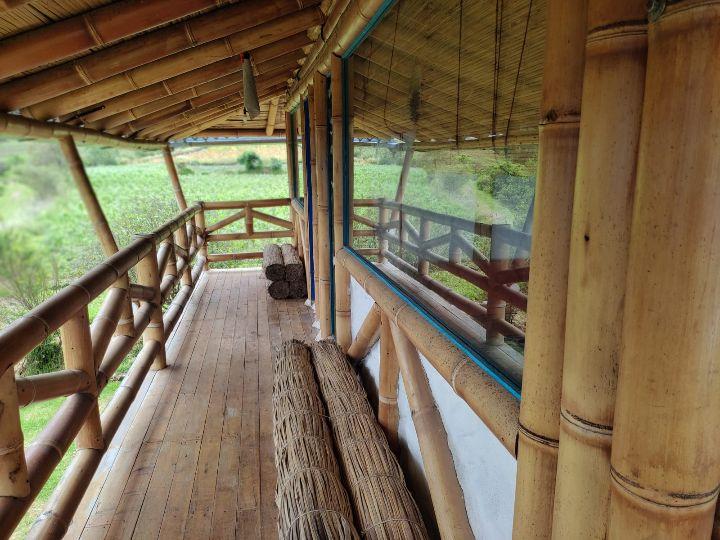 Hostel bambú
