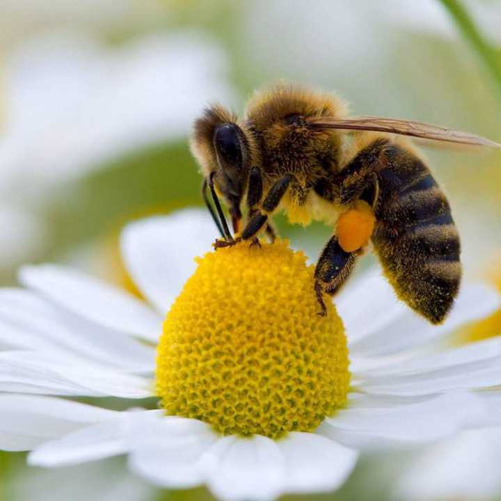 Tienda Naturista todo Natural