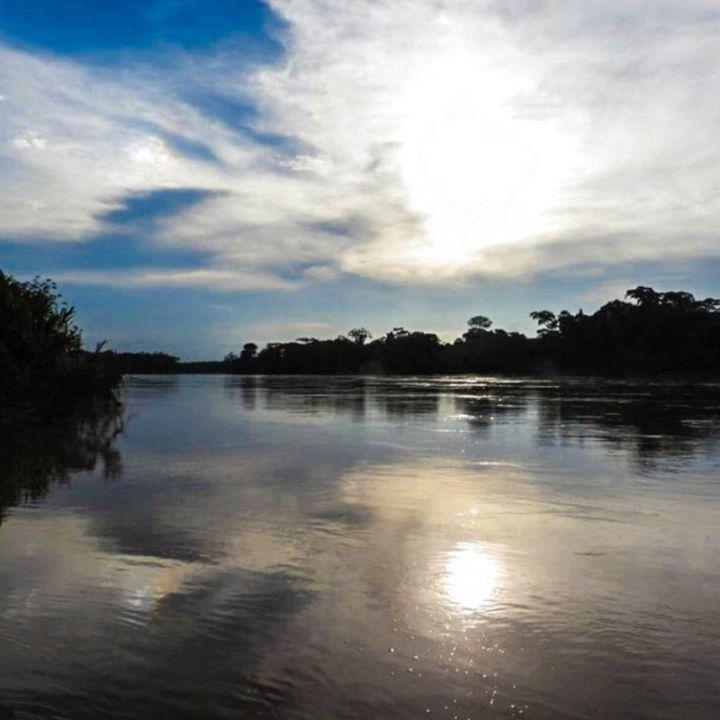 Tours y Actividades Perú Madre de Dios, Perú         Collpa de Guacamayos Chuncho - Tambopata