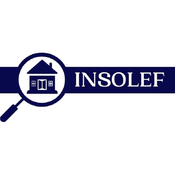 INSOLEF